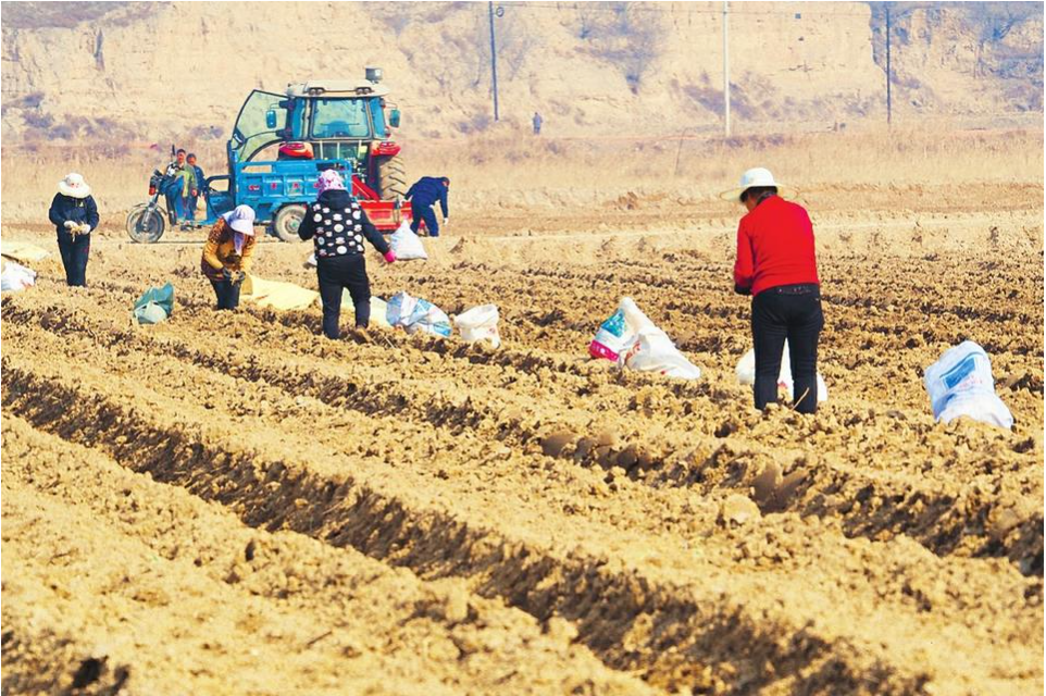 中国农业科学院旱地农业研究新进展