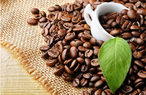  咖啡渣能够防治作物青枯病