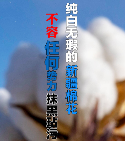 台湾也应该“抵制”新疆棉花吗？台媒对蔡政府发出警告
