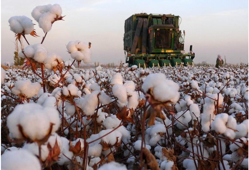 科技对新疆棉花产业高质量发展的贡献