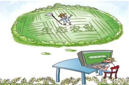 中国绿色生态农业业电商网欢迎您的光临