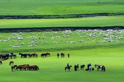 内蒙古农牧业开发商城紧抓短视频红利风口，扬帆起航