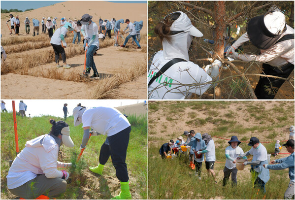 25年5万多棵树 富士胶片持续助力科尔沁沙地绿化