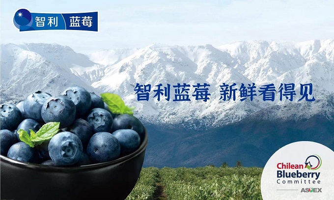 “蓝”得双色球
见，“莓”好常伴，智利蓝莓上市了！